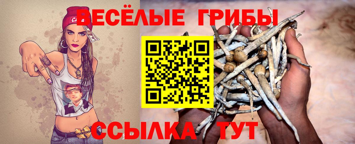 Псилоцибиновые грибы мицелий  Вход с VPN  Донецк 